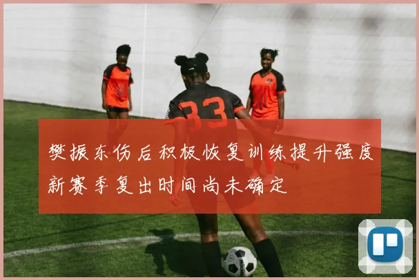 樊振东伤后积极恢复训练提升强度新赛季复出时间尚未确定